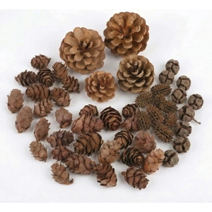 Arbee Natural Asstd Pine Cones