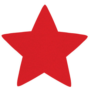 Zart Felt Star Decorations 