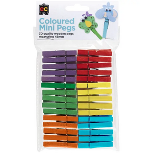 EC Mini Wooden Pegs - Coloured