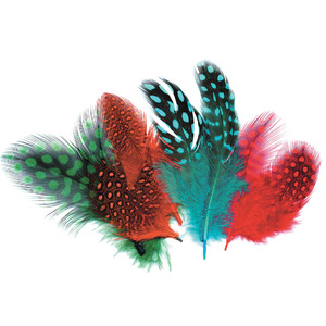 Polka Dot Feathers - Assorted Colours