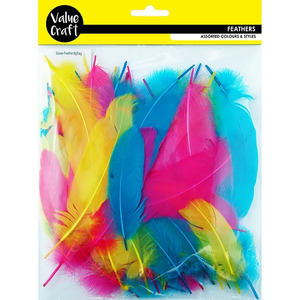 Value Craft Small Bright Goose Feathers 