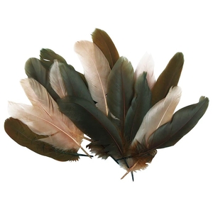 Natural Goose Feathers