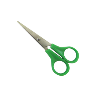 Stainless Steel Scissors - Green Plastic Handle (Pack of 12)