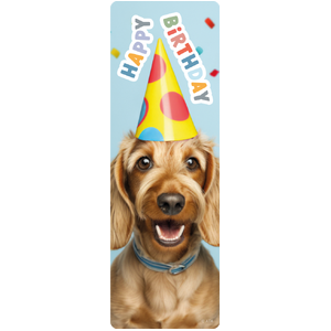 Australian Teaching Aids Bookmarks - Happy Birthday 