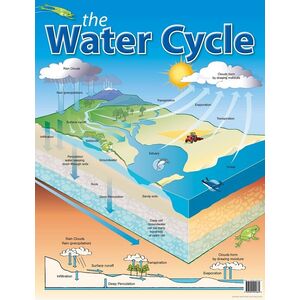 Australian Teaching Aids The Water Cycle Chart