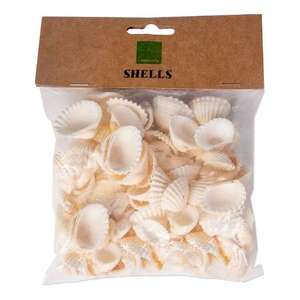Shamrock Sea Shells