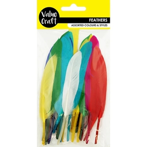 Value Craft Bright Assorted Coloured Feathers
