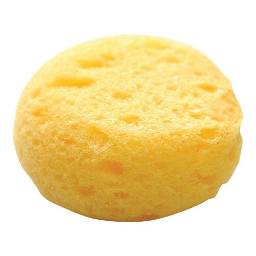 Synthetic Sponge  