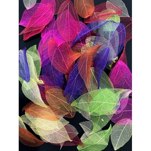 Skeleton Leaves - Coloured