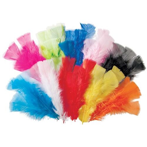 Craftworkz Coloured Turkey Feathers 