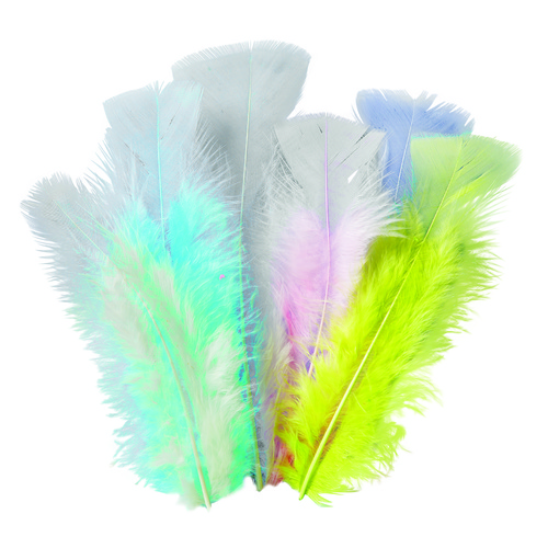 Zart Pastel Feathers